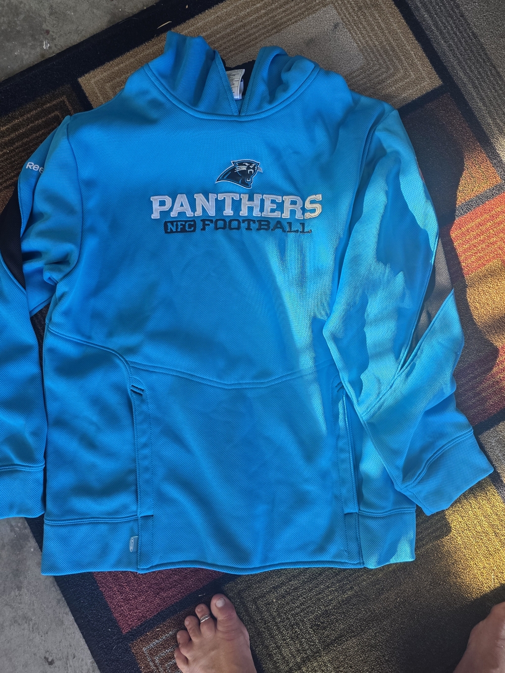 Reebok Panthers Hoodie in Bright Teal